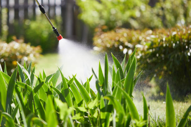 24/7 Emergency Cockroach Control experts in Marshall, MI