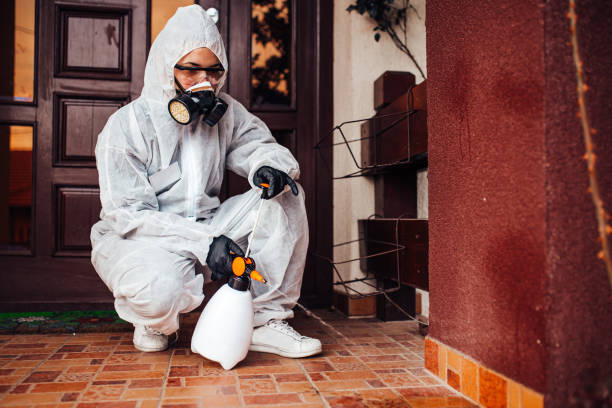 Reliable Cockroach Control contractor in Marshall, MI by Nex Pest Control