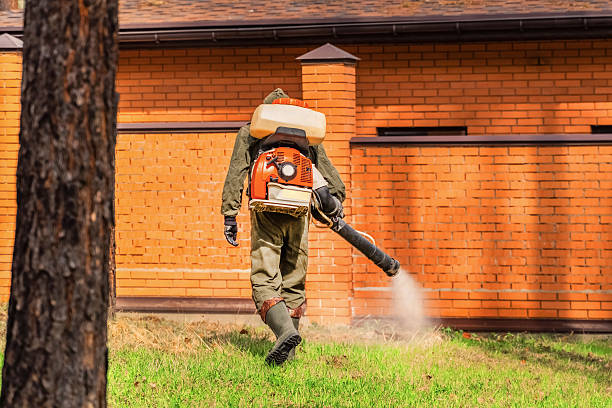 Top rated local Cockroach Control specialists in Marshall, MI